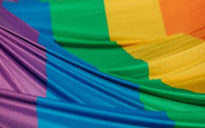 Datos sobre el movimiento LGBT en México